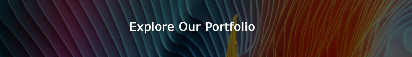 portfolio PSI